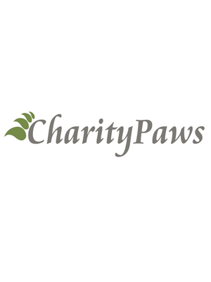 Logo Design by RoxanaFR for 2 Dogs Media LLC | Design: #3051363