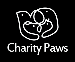Logo Design by webytes for 2 Dogs Media LLC | Design: #3063260
