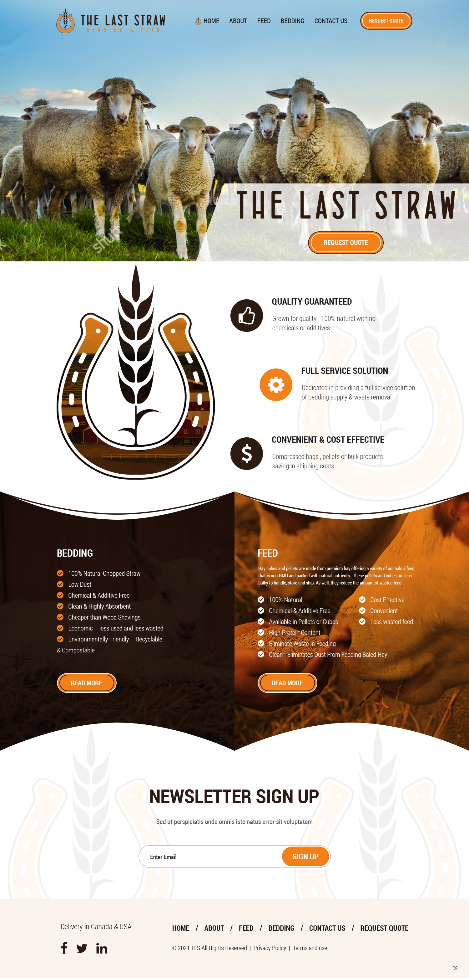 Diseño Web por pb para este proyecto | Diseño #26366994