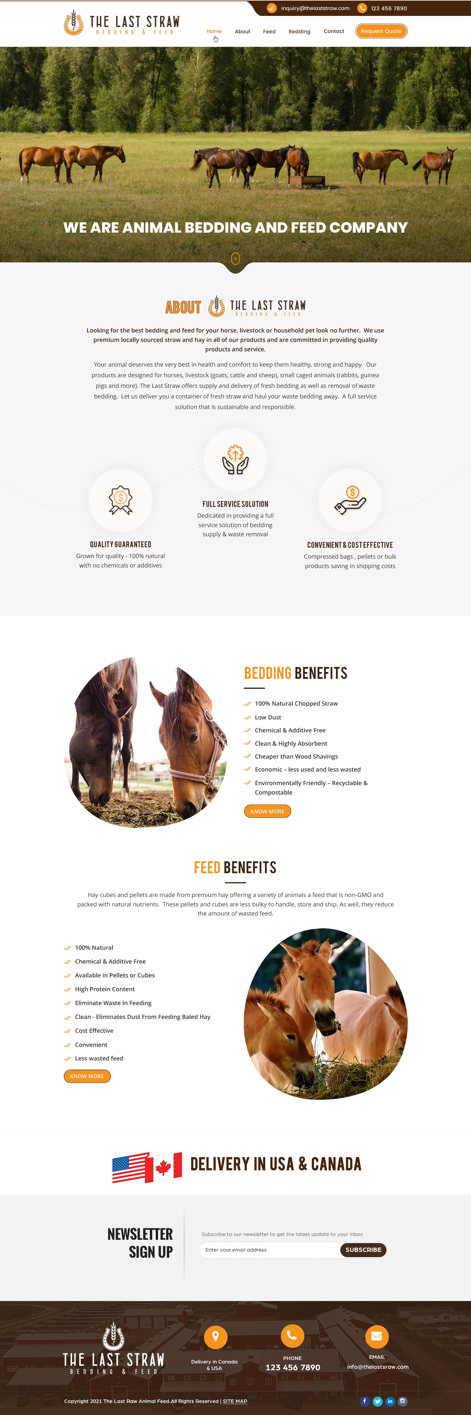 Diseño Web por Sbss para este proyecto | Diseño #26431042