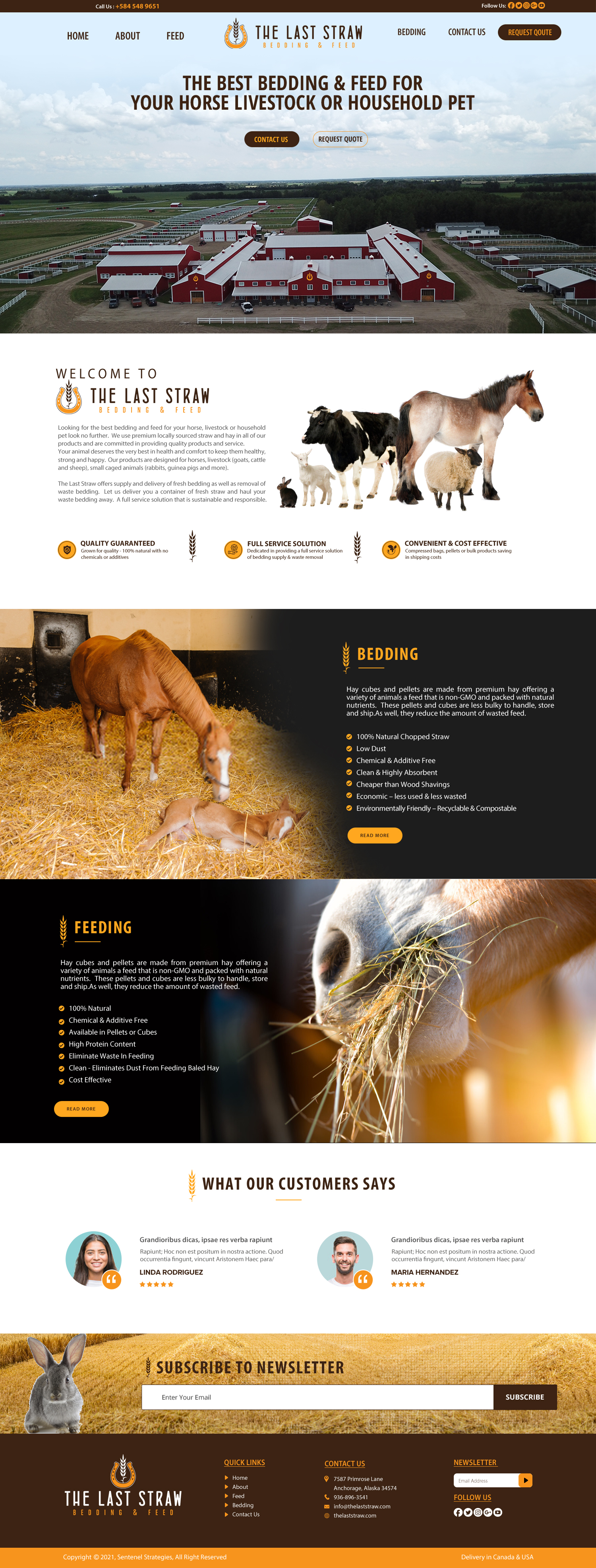 Diseño Web por chandrayaan.creative para este proyecto | Diseño #26370363