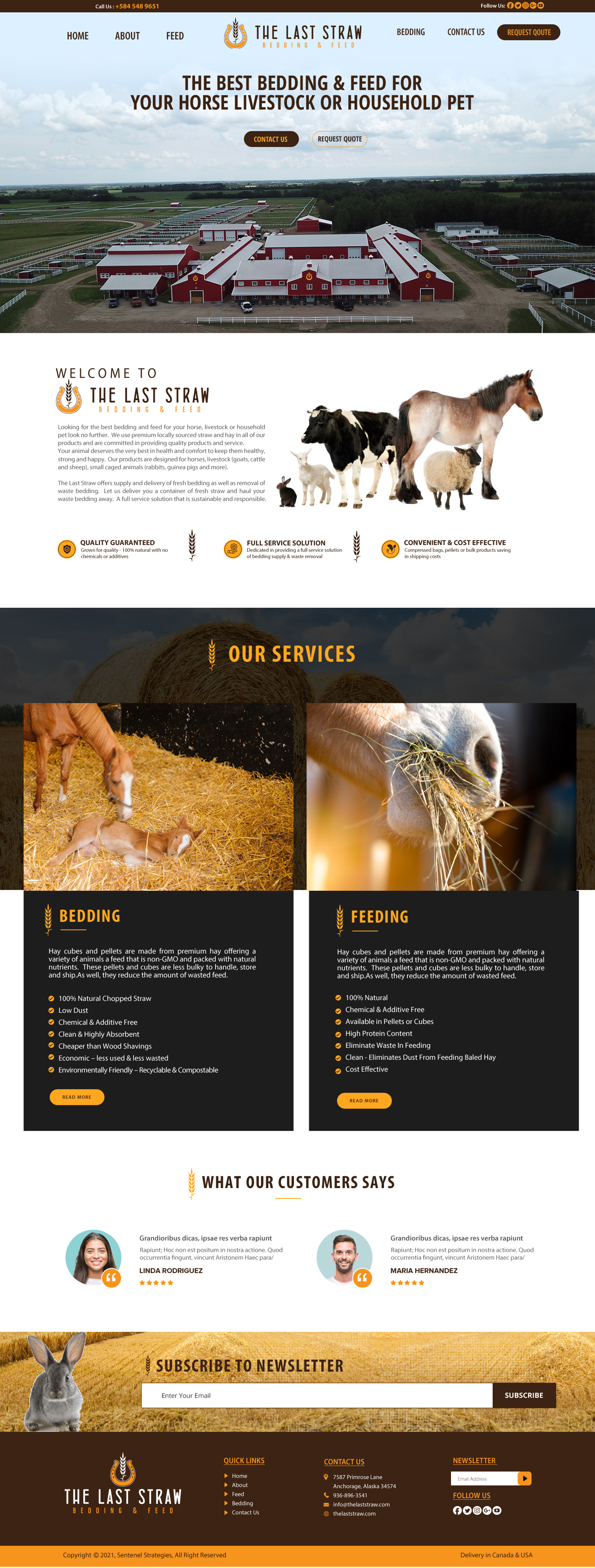 Diseño Web por chandrayaan.creative para este proyecto | Diseño #26370578