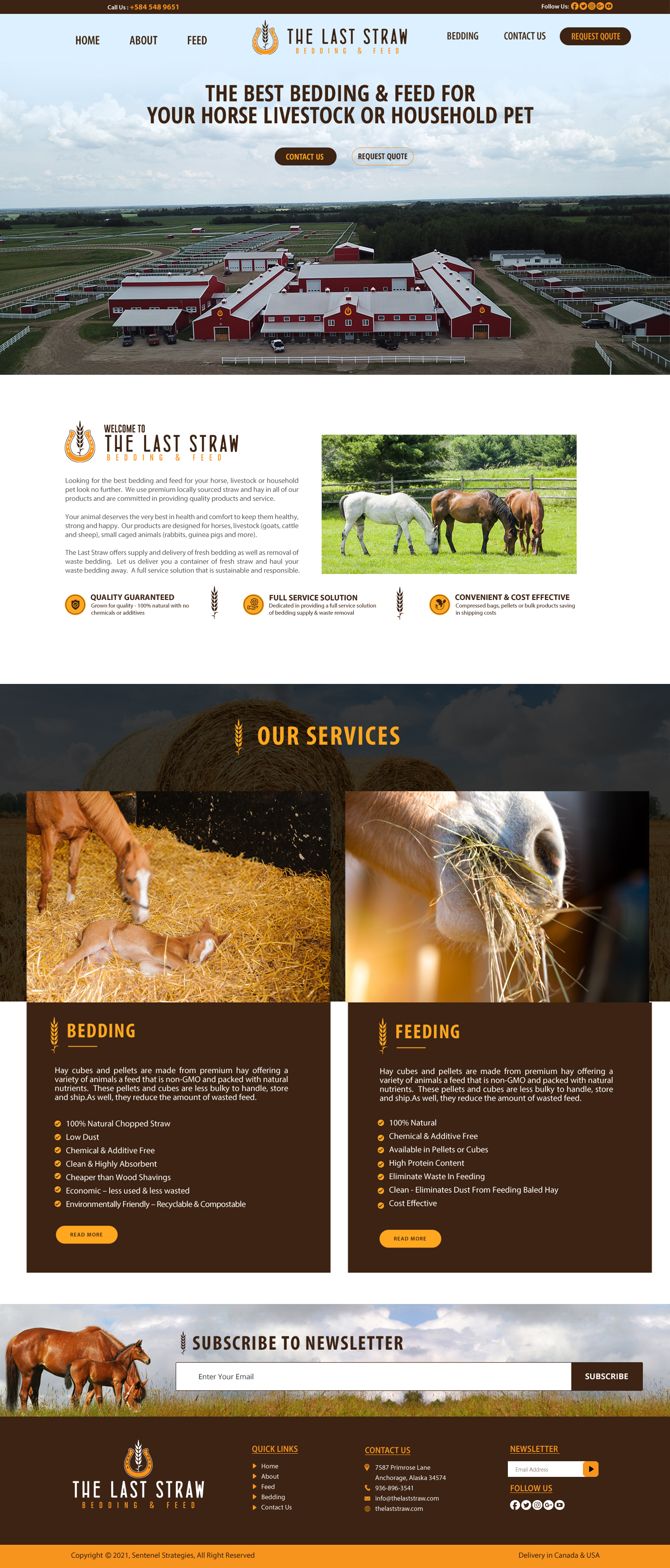 Diseño Web por chandrayaan.creative para este proyecto | Diseño #26429081