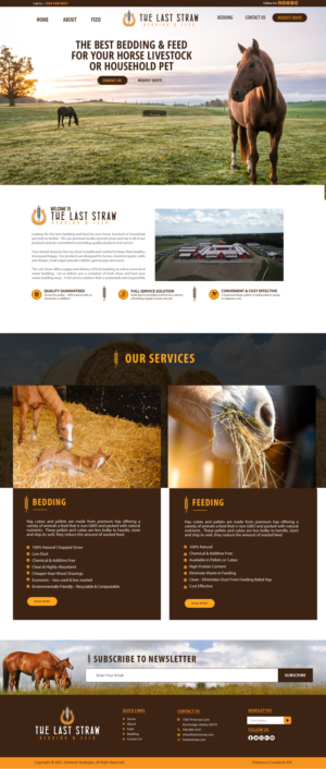 Web Design par chandrayaan.creative pour ce projet | Design : #26429209