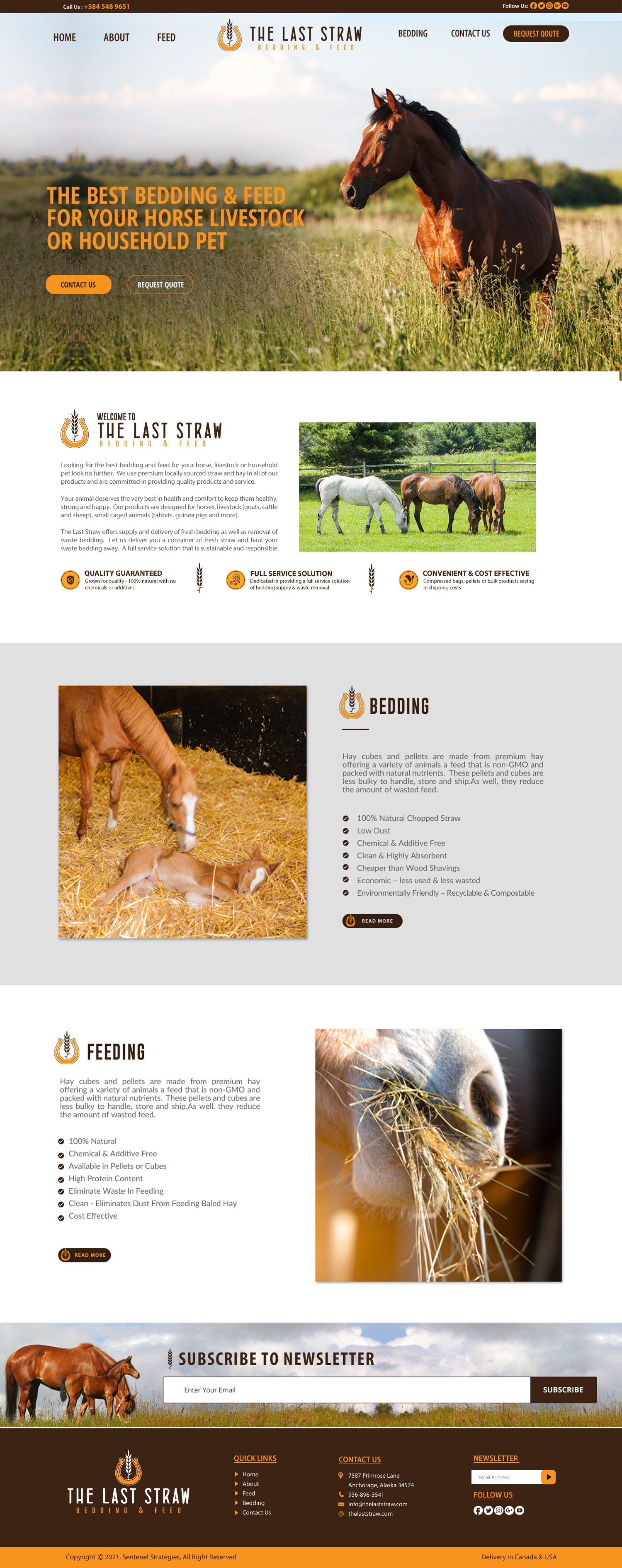 Web Design by chandrayaan.creative for this project | Design #26441024