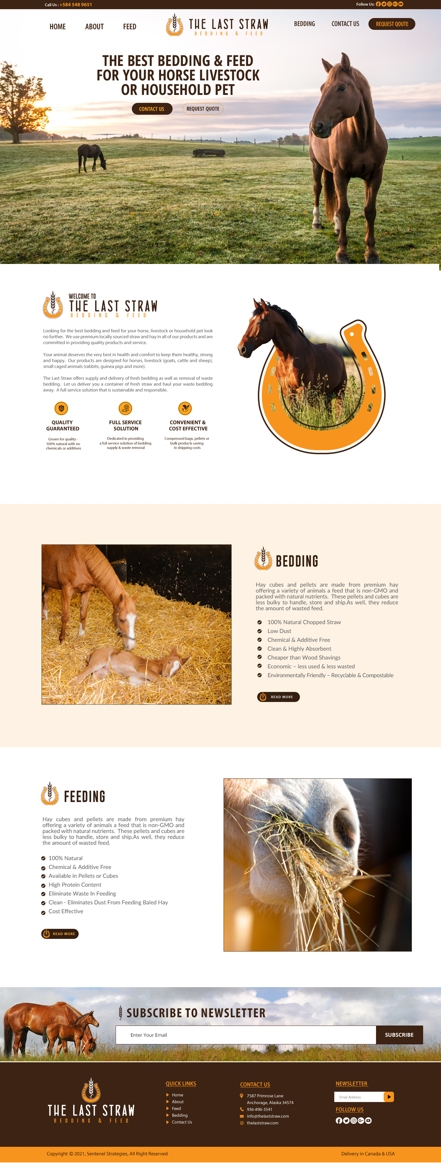 Diseño Web por chandrayaan.creative para este proyecto | Diseño #26441195