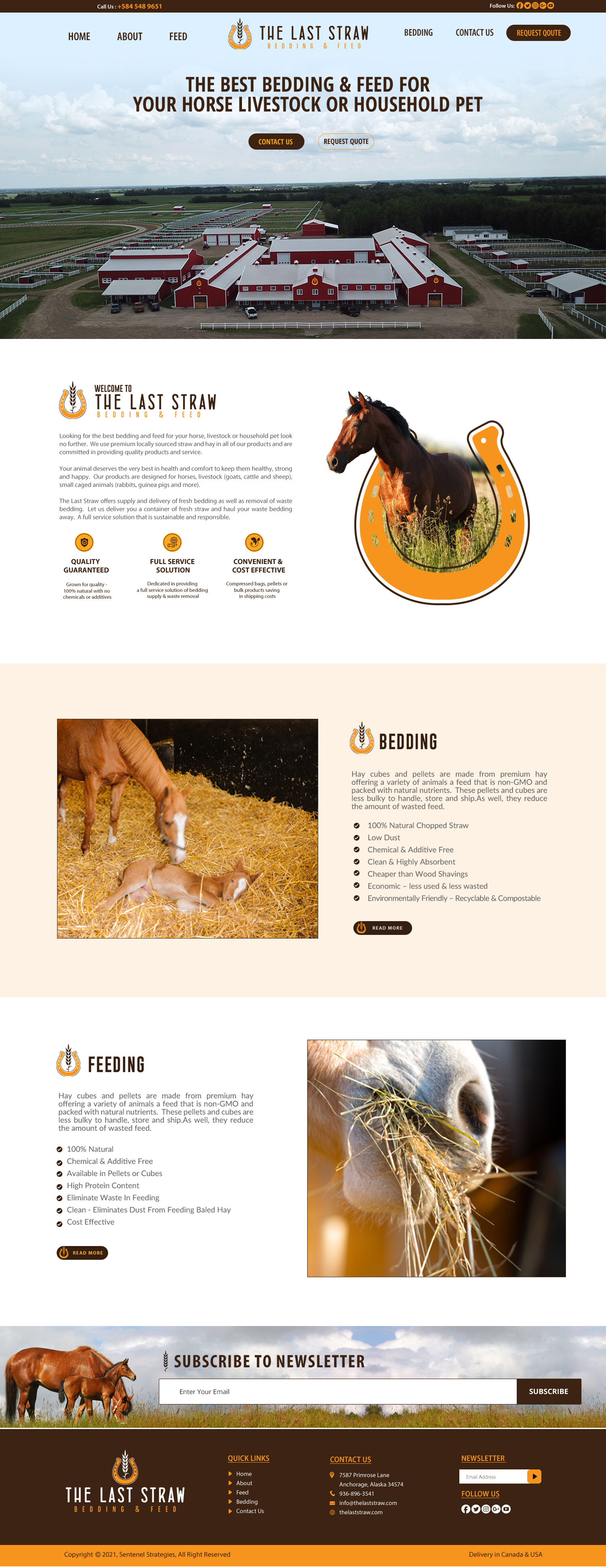 Web-Design von chandrayaan.creative für dieses Projekt | Design #26441198