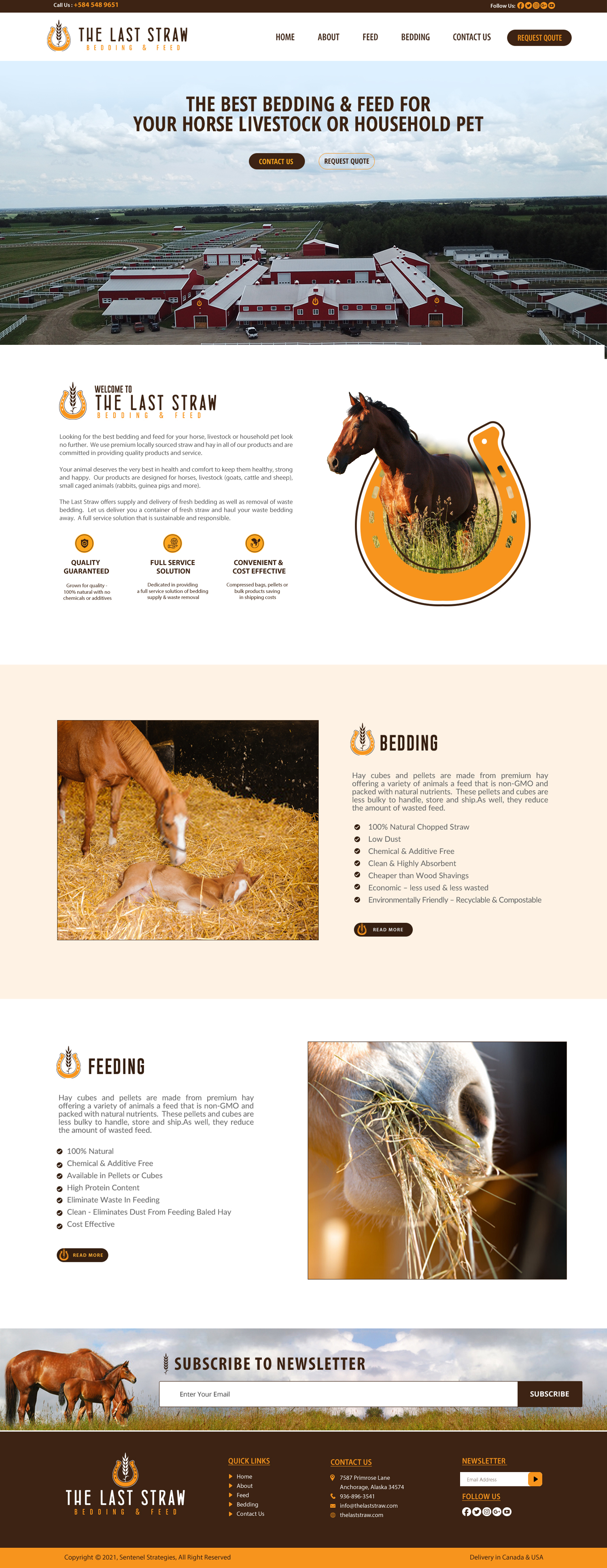 Diseño Web por chandrayaan.creative para este proyecto | Diseño #26441466