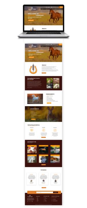 Web Design par Adeel Rahman pour ce projet | Design : #26379874