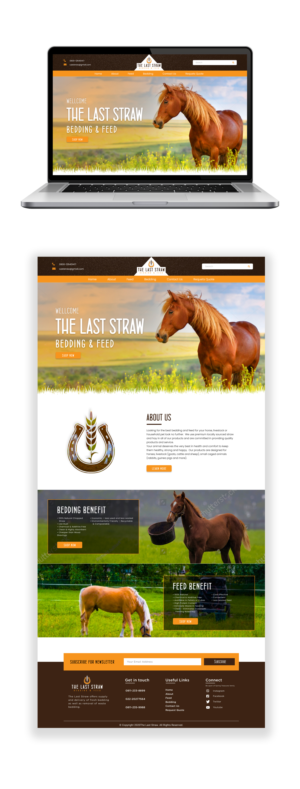 Web Design par Adeel Rahman pour ce projet | Design : #26430810