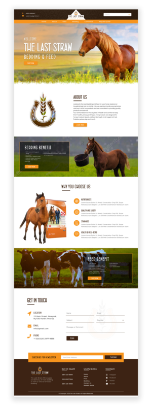 Web Design par Adeel Rahman pour ce projet | Design : #26437465