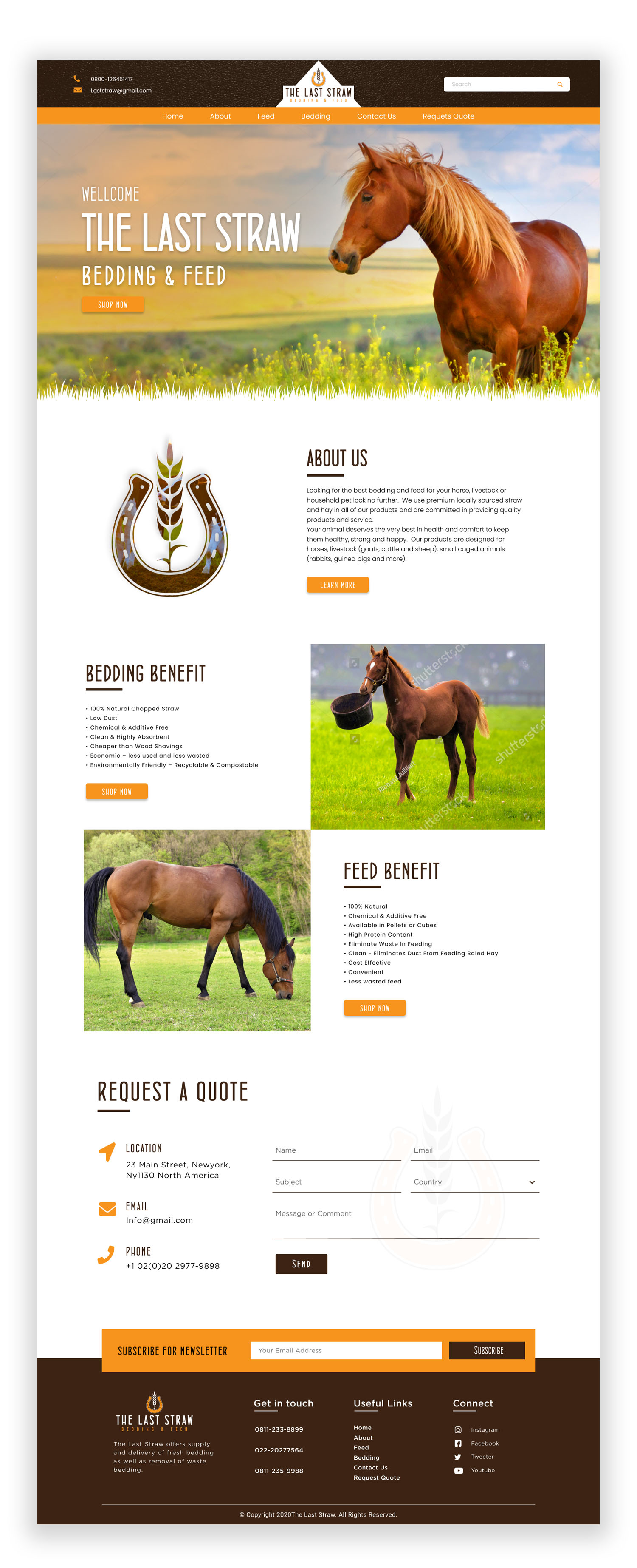 Web Design par Adeel Rahman pour ce projet | Design #26446785