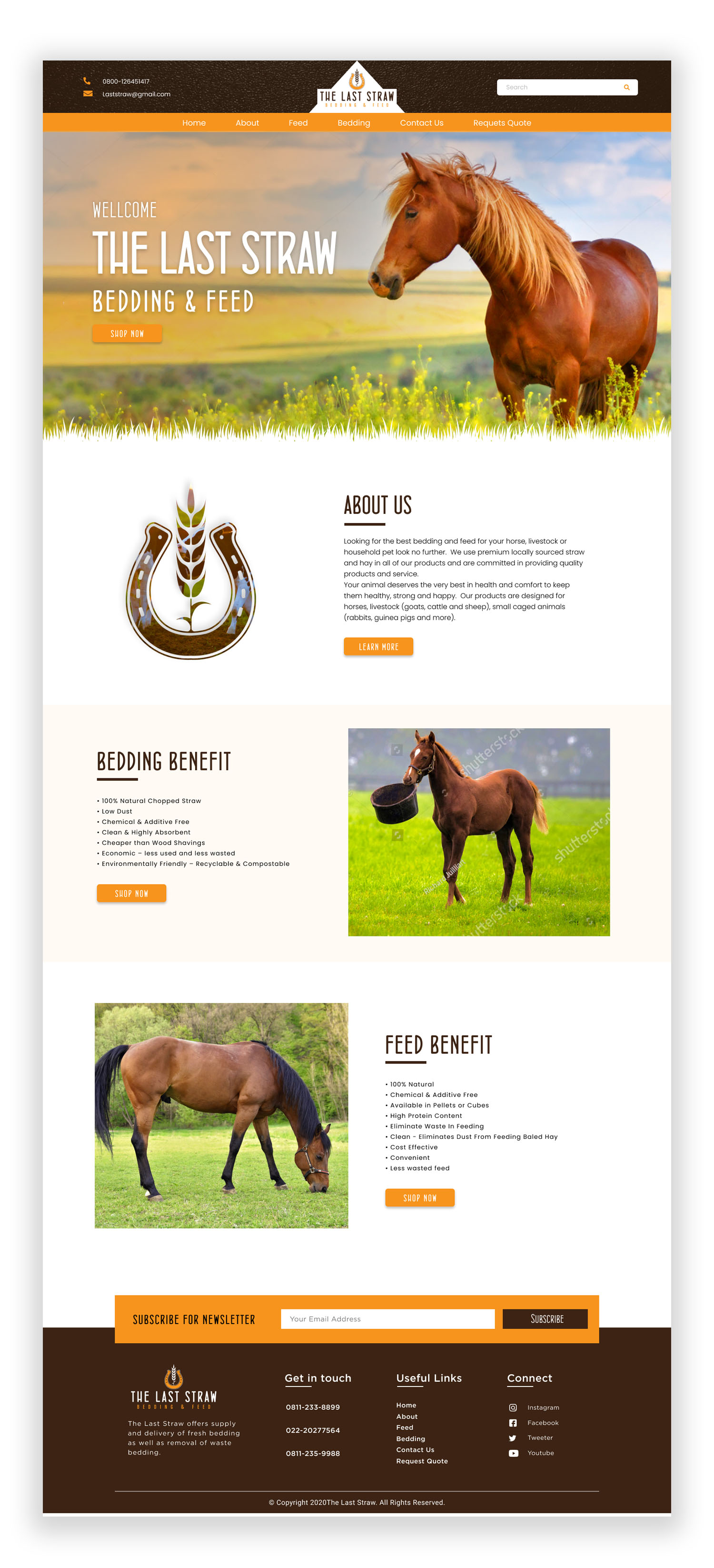 Web Design by Adeel Rahman for this project | Design #26446787