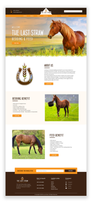 Web Design par Adeel Rahman pour ce projet | Design : #26446787