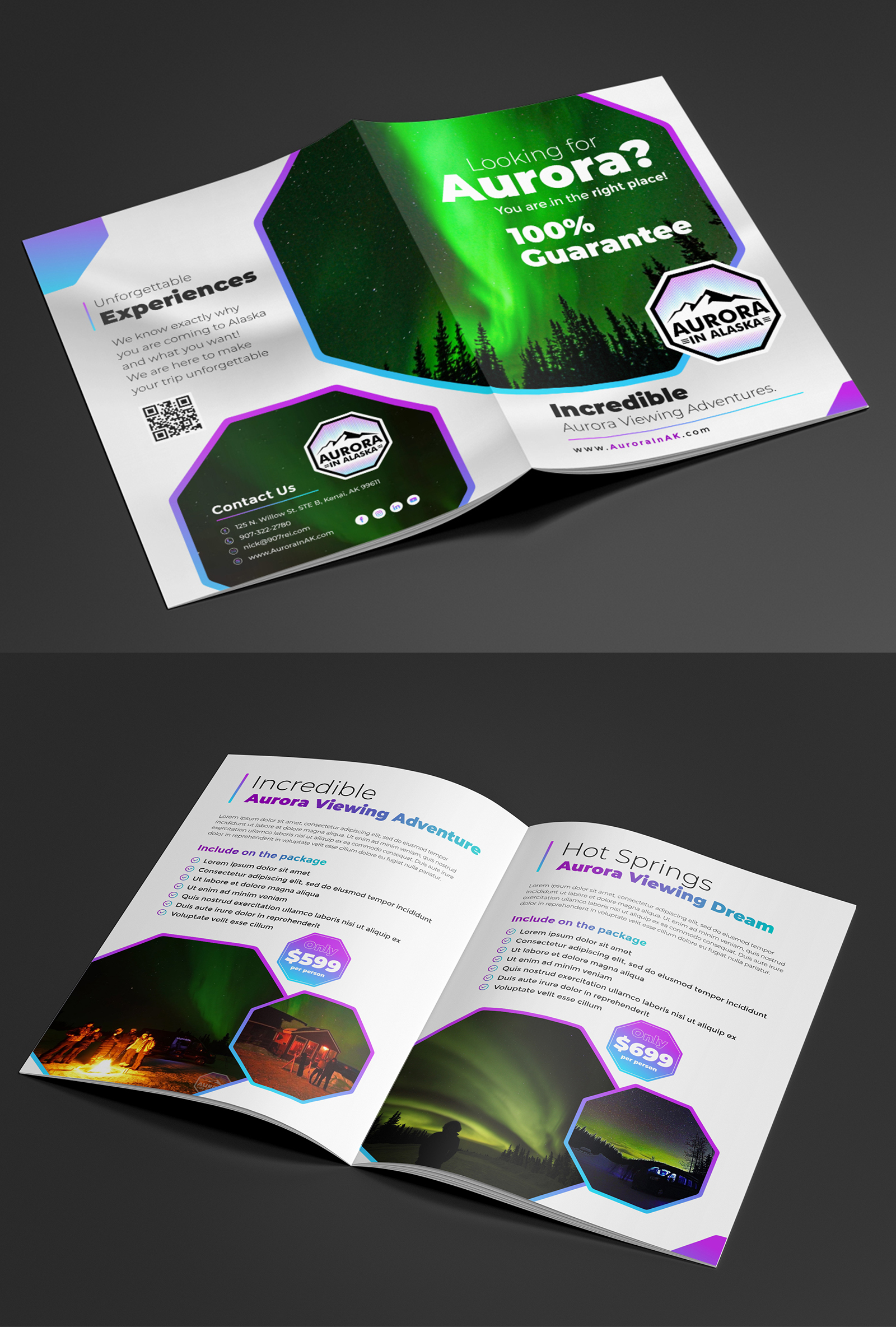 Brochure Design by ecorokerz for Aurora in Alaska | Design #26364895