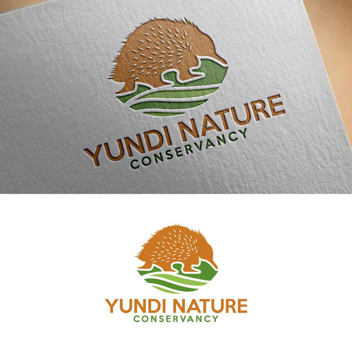Graphic Design by Graphic Bricks for Yundi Nature Conservancy | Design #26365455
