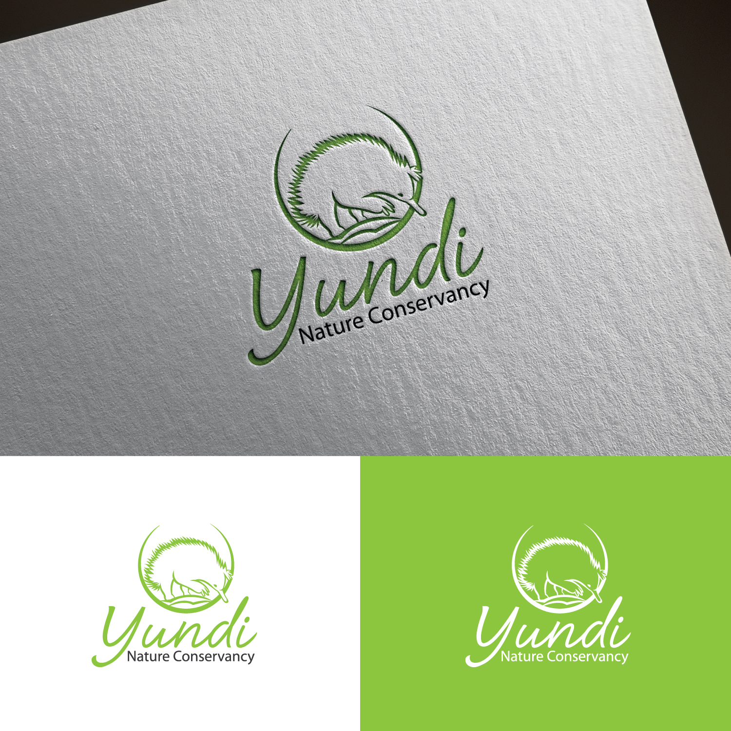 Graphic Design by sankar999 for Yundi Nature Conservancy | Design #26366029