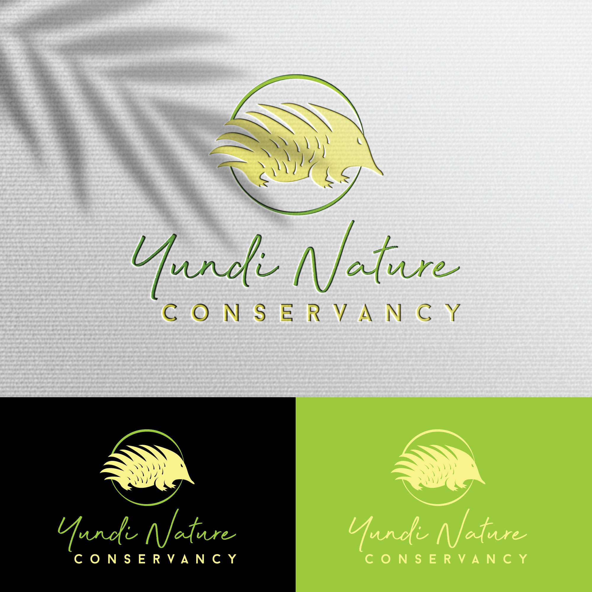Grafik-Design von u2square für Yundi Nature Conservancy | Design #26367489