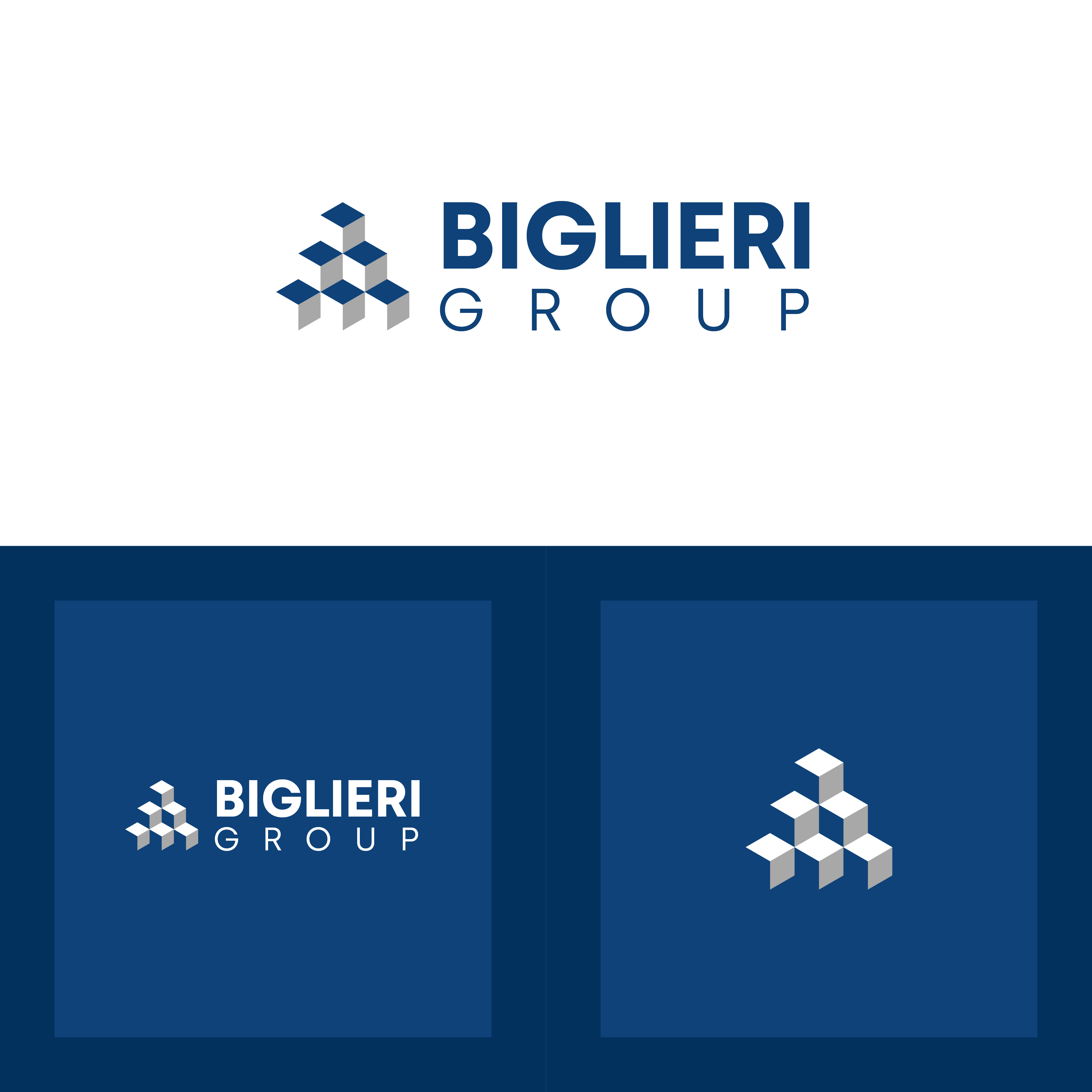 Logo Design by fauxdesigns for The Biglieri Group | Design #26416138