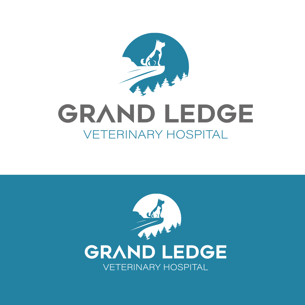 Diseño de Logo por smtpstc para este proyecto | Diseño #26405945