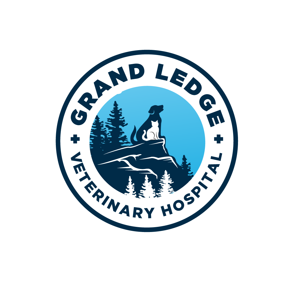 Logo Design by YAZIKO for this project | Design #26374724