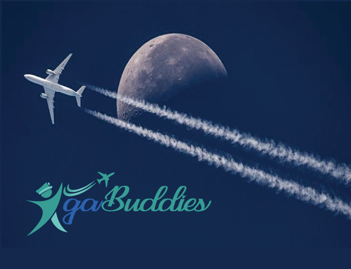 Logo Design by Quratulain 25 for this project | Design #26390667