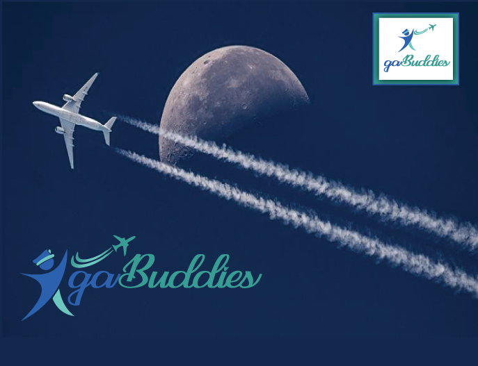 Logo Design by Quratulain 25 for this project | Design #26392428