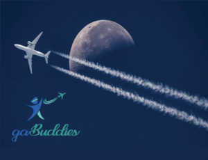 Logo Design by Quratulain 25 for this project | Design: #26397933
