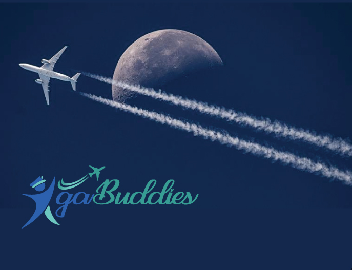 Logo Design by Quratulain 25 for this project | Design #26405237