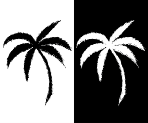 Logo Design by Xtr