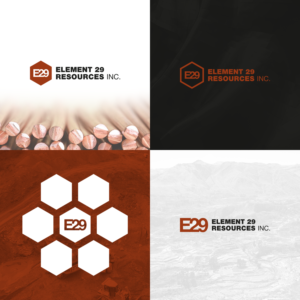 Element 29 | Logo-Design von Oleksandr Tovarkov