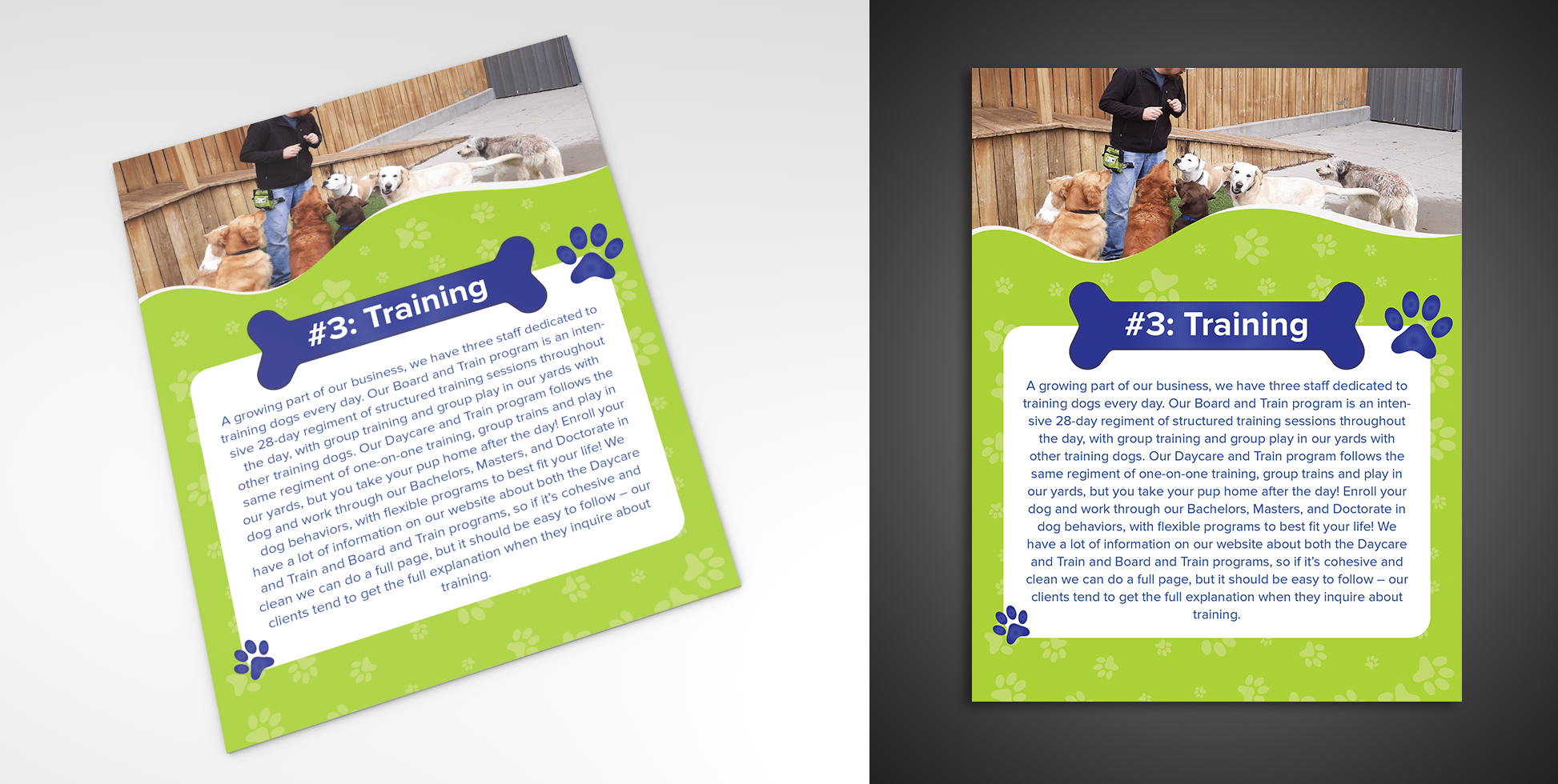 Graphic Design by Rickyy for this project | Design #26402436