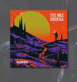 CD-Cover-Design von Heydale für dieses Projekt | Design: #26396405