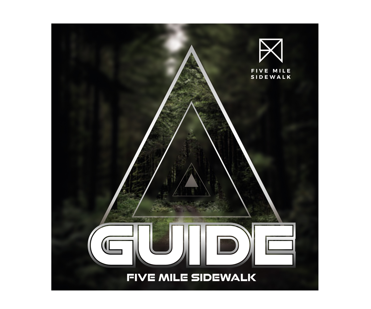 CD Cover Design by ecorokerz for this project | Design #26403348