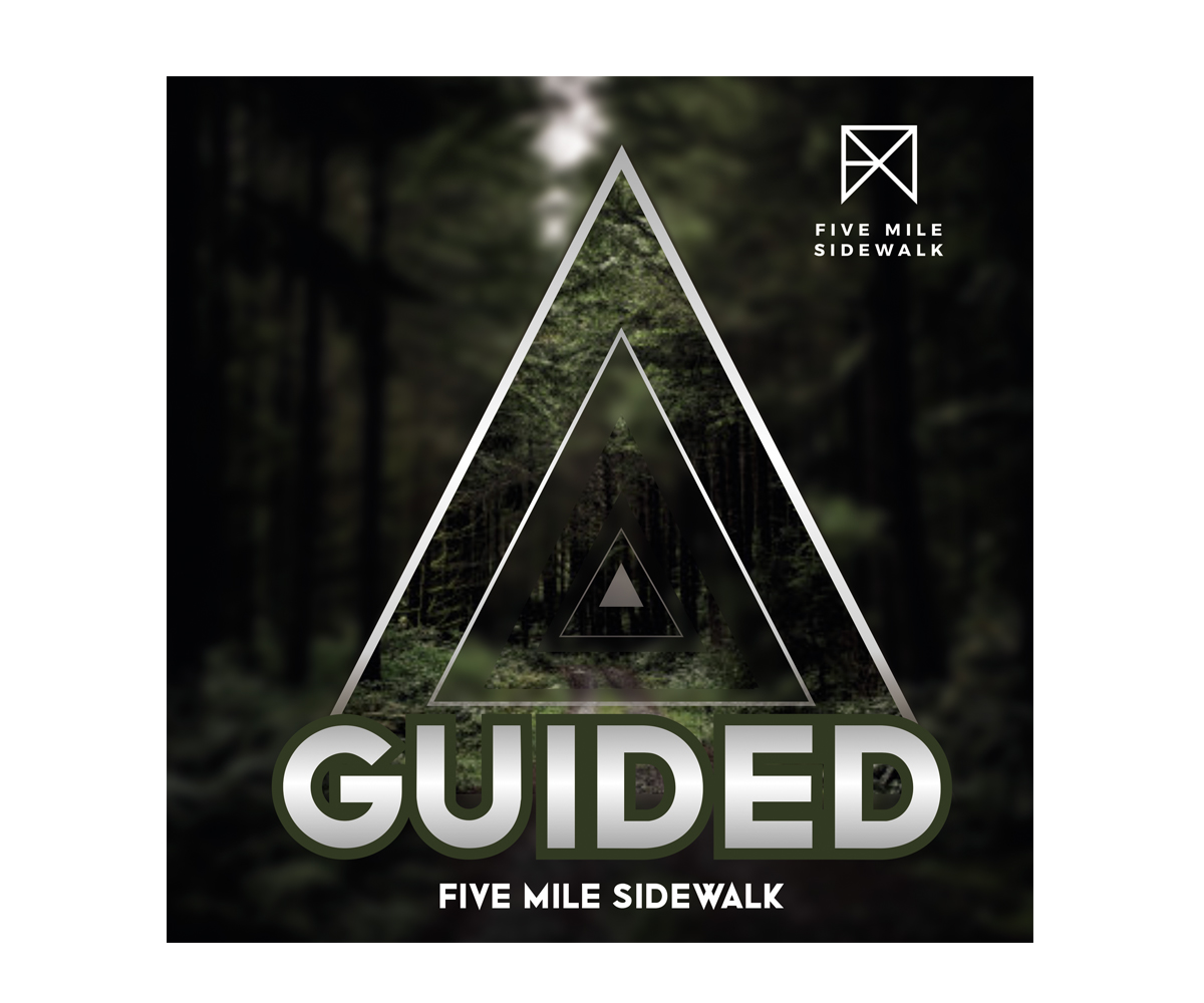 CD Cover Design by ecorokerz for this project | Design #26403349
