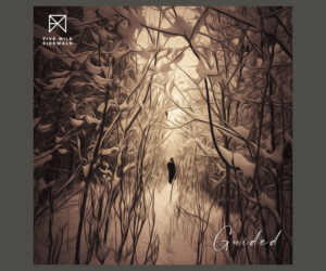 CD-Cover-Design von Sanni Sinna für dieses Projekt | Design: #26391294