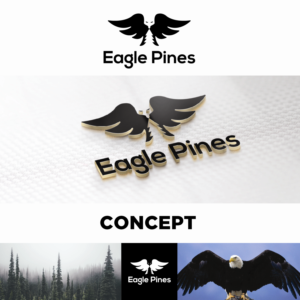 Logo Design by Raheel Dildar