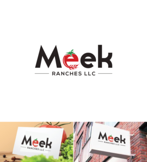 MEEK RANCHES LLC | Logo Design by ecorokerz