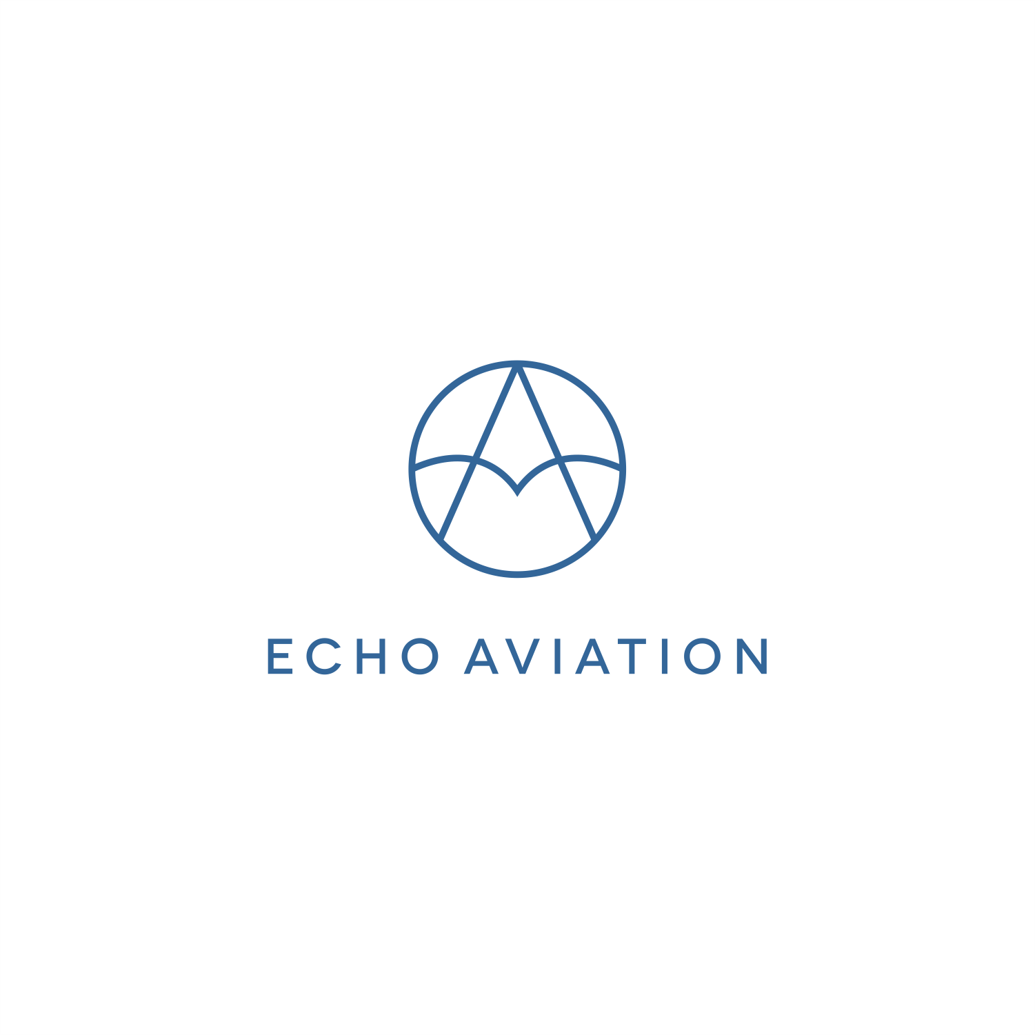 Logo Design by kaschenko.oleg for Echo Aviation | Design #26424439