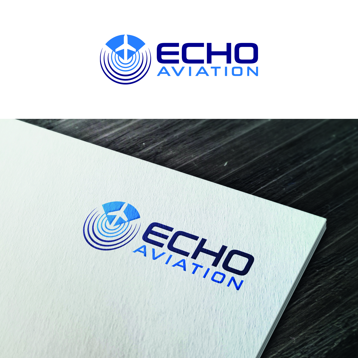 Logo Design by Maxo-Biz for Echo Aviation | Design #26390663