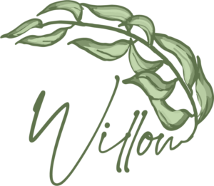 Logo Design by cristina.basoiu 2