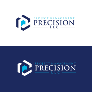“Project Management Precision” with or without the “LLC” | Logo Design by Kelvin-Kranj