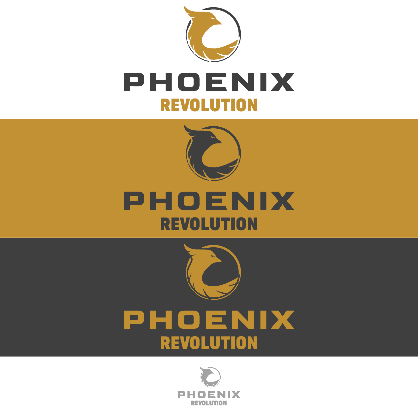 Logo Design by drace88 for this project | Design #26417245