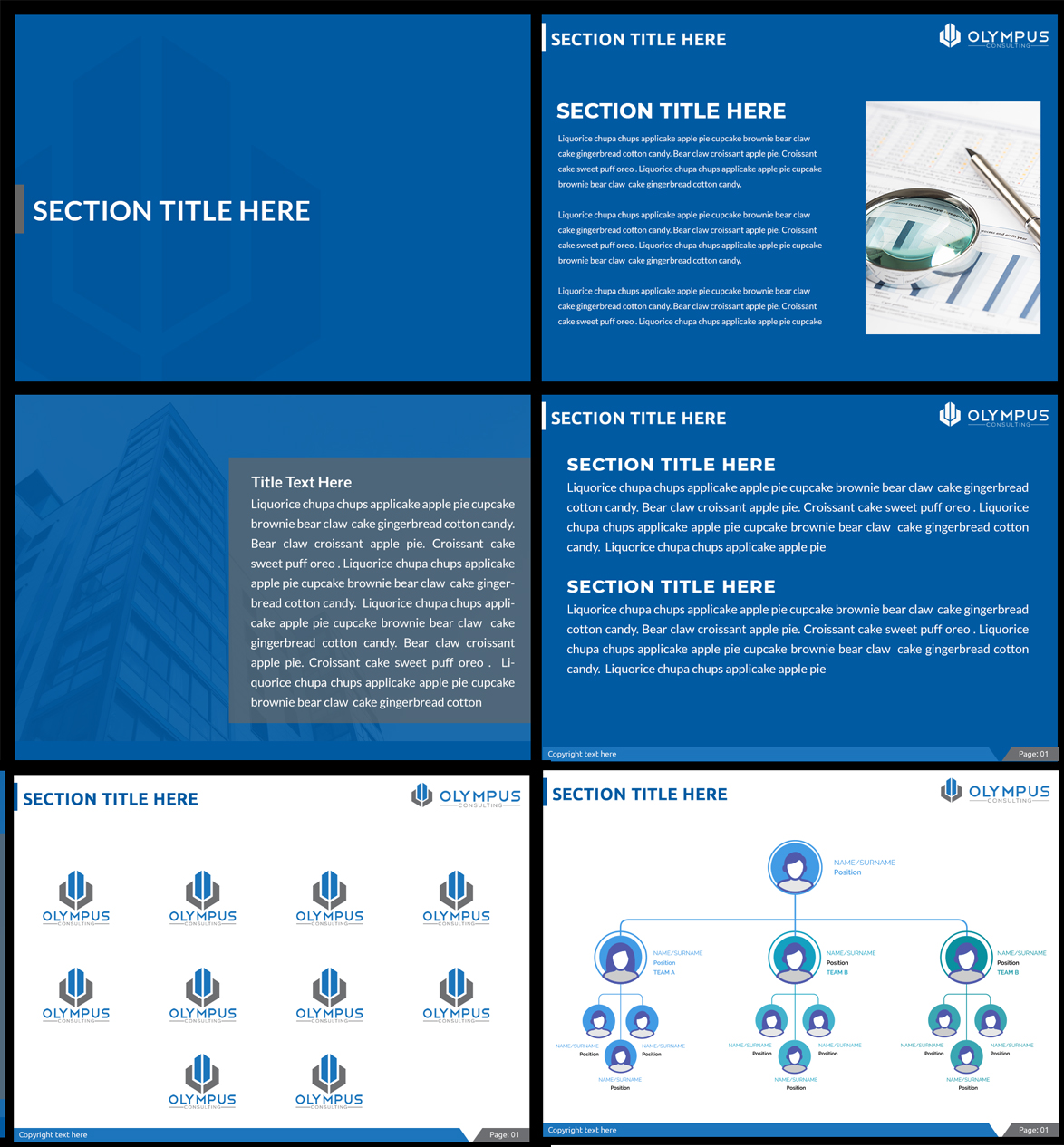 PowerPoint Design by Best Design Hub for this project | Design #26451175