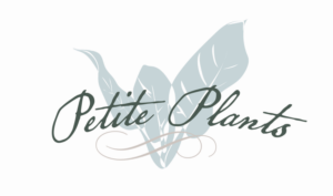 Logo Design by DeAnna Ellison