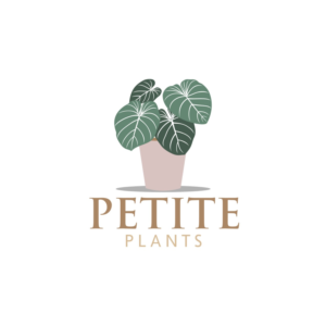 Petite Plants | Logo Design by ddnsycrowd