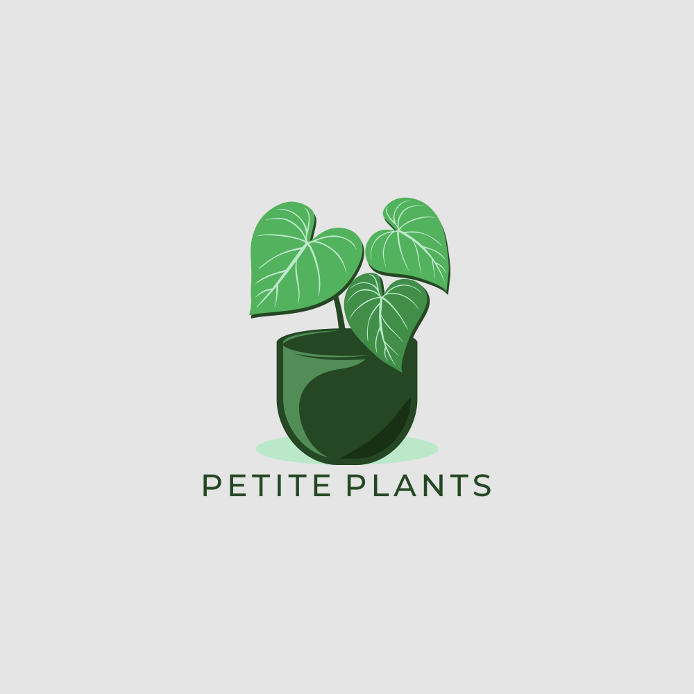 Logo Design by fier77 for this project | Design #26415587