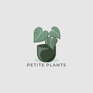 Logo Design by fier77