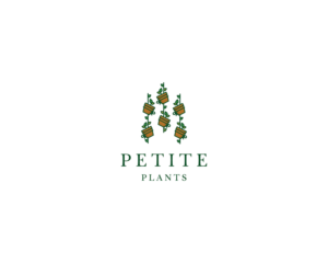 Logo Design by Admira Graphics for this project | Design: #26413523