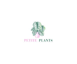 Logo Design by SunuAji_DC